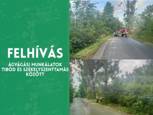 Lakossági tájékoztatás – Ágvágási munkálatok